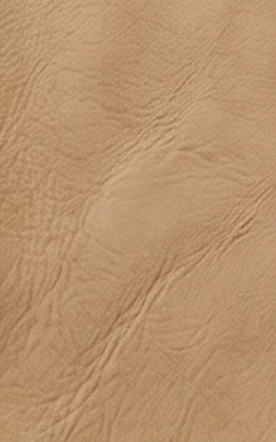 Natural Tan Beige vegan leather swatch